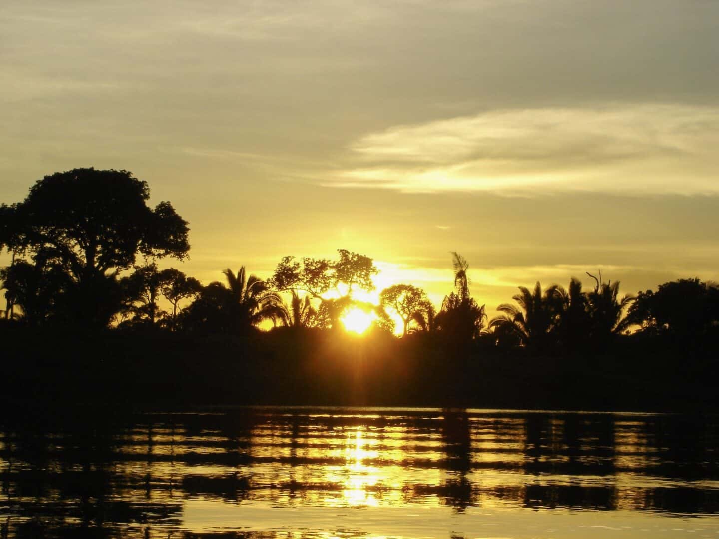 Ecuador Itinerary, Golden Sunset in Amazon Rainforest