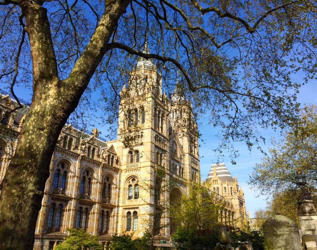 3 Day London Itinerary, Natural History Museum