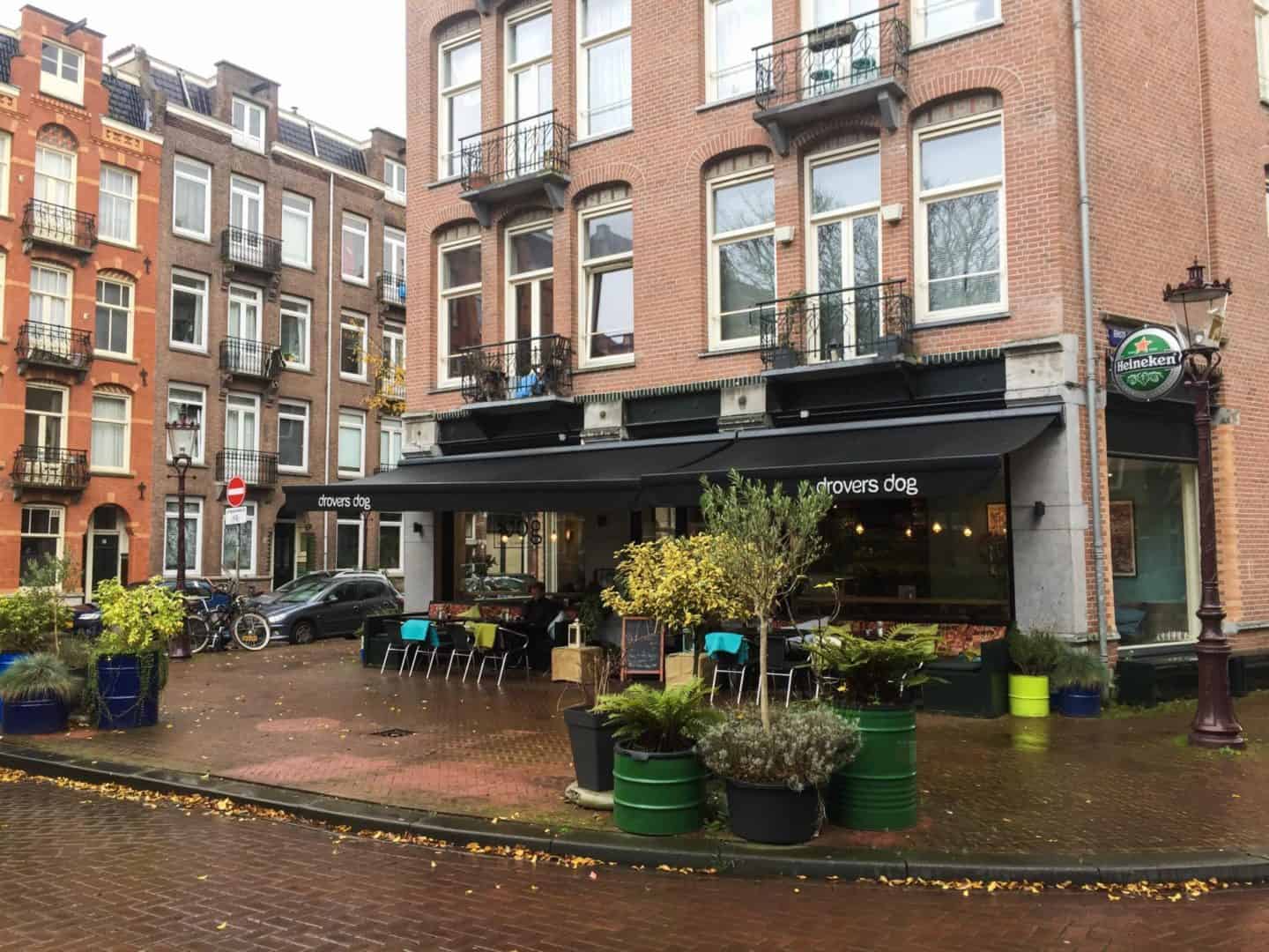 Stayokay Amsterdam Zeeburg Review, drovers dog