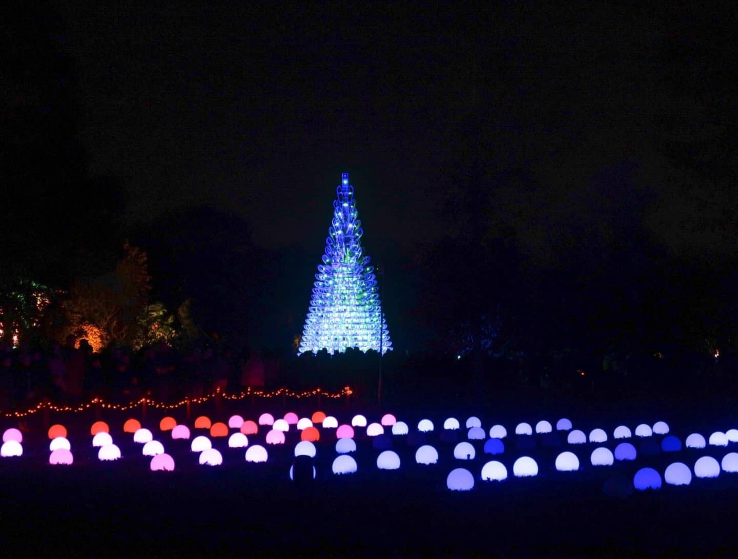 Kew Gardens Christmas