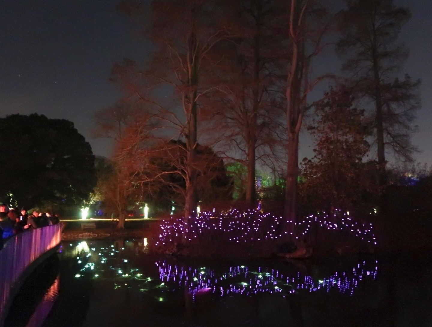 kew gardens at christmas light display