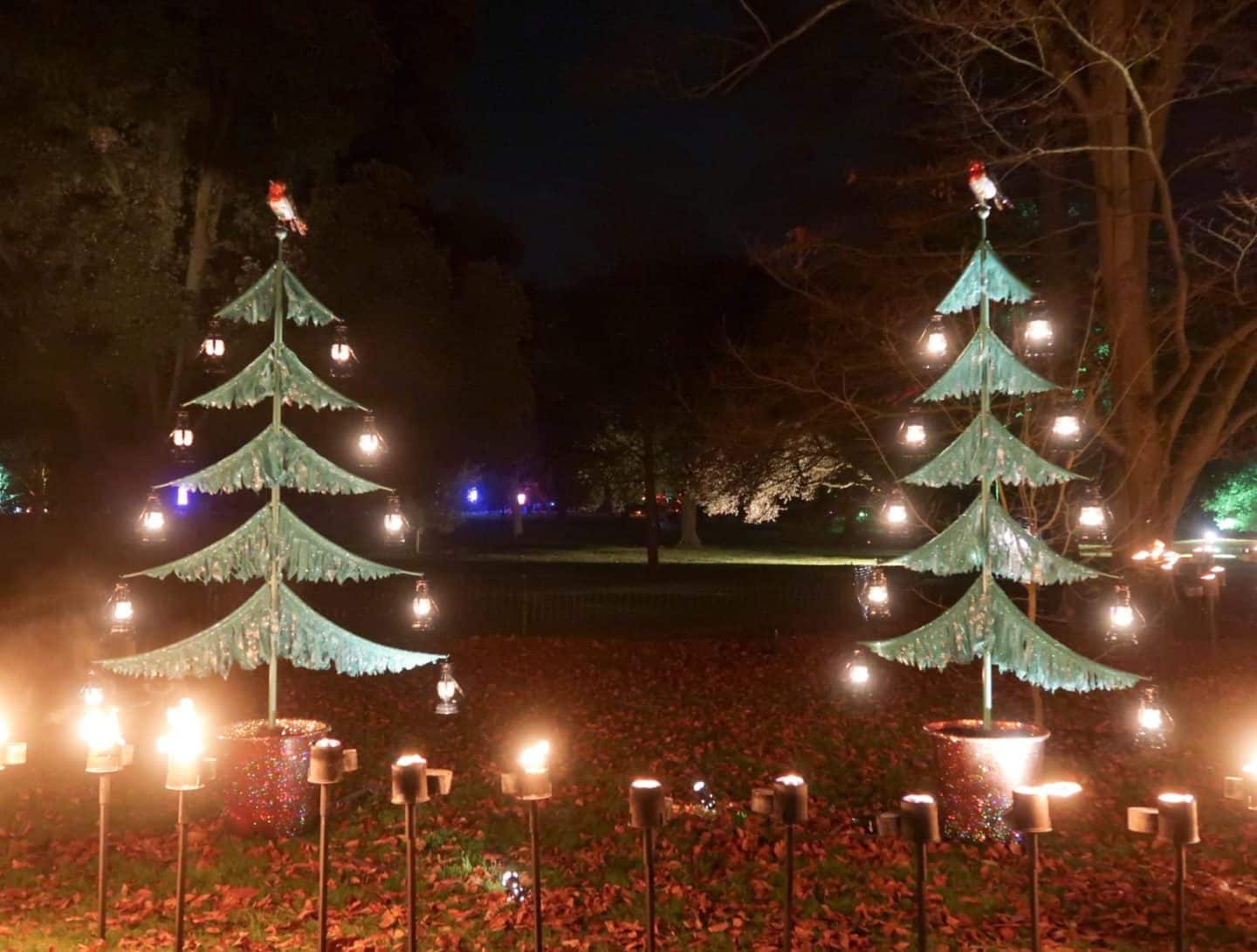 kew gardens at christmas light display