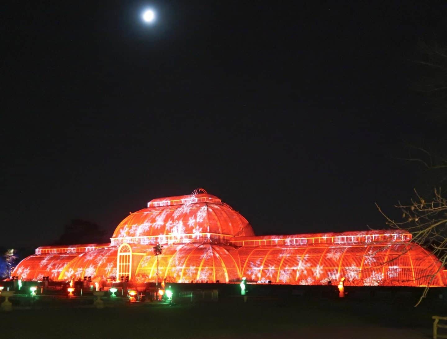 kew gardens at christmas light display