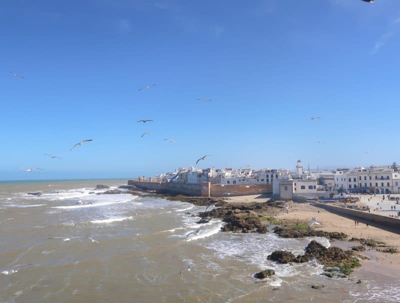 Reasons to visit essaouira morocco