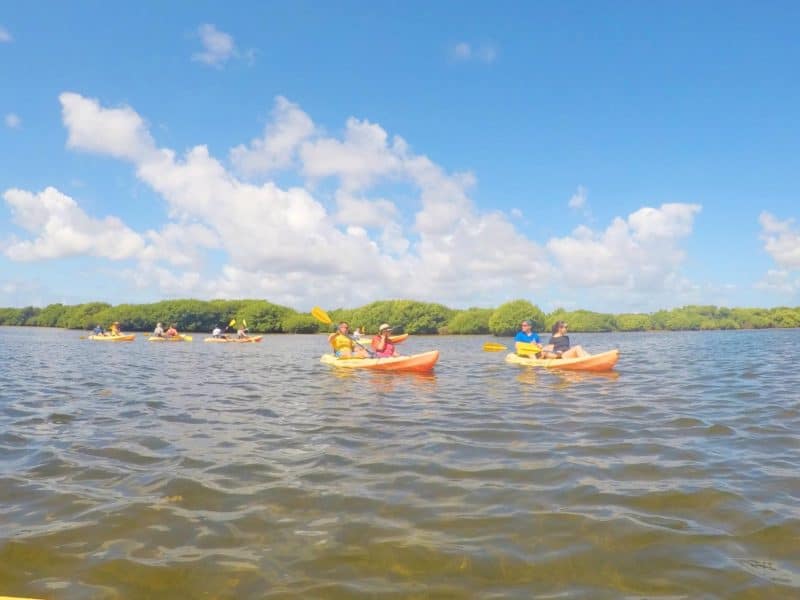 Things To Do in Antigua Away From The Resort, Kayaking