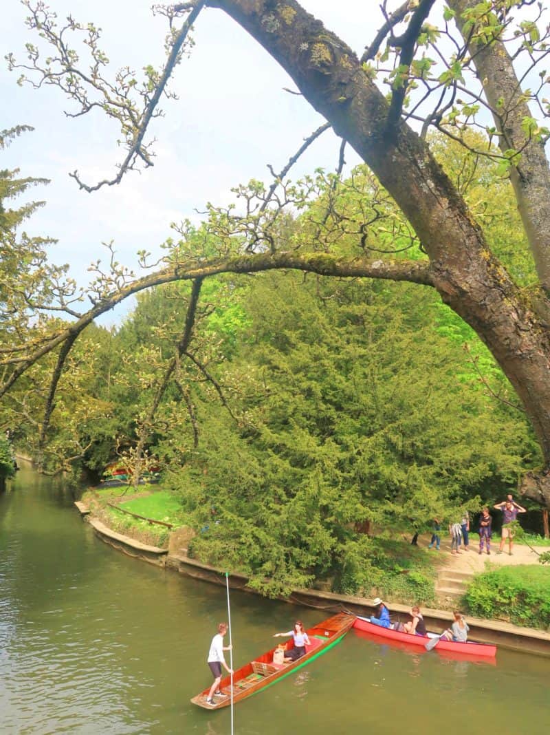 The Wandering Quinn Travel Blog oxford things to do punting