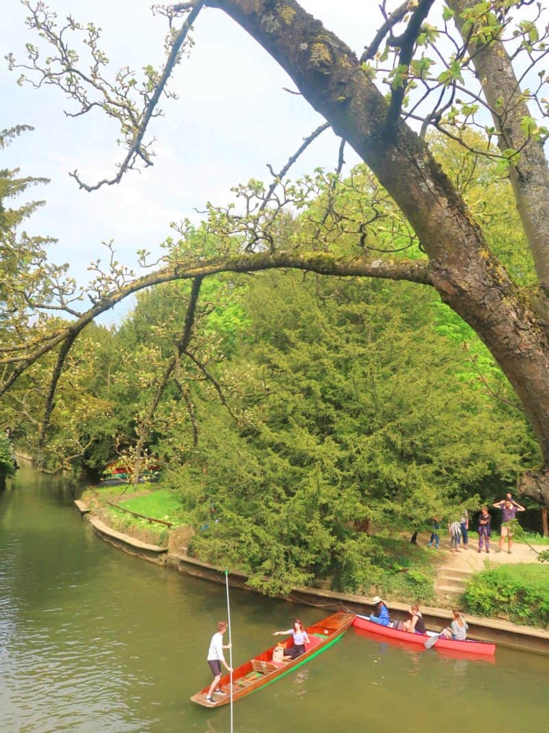 oxford things to do punting