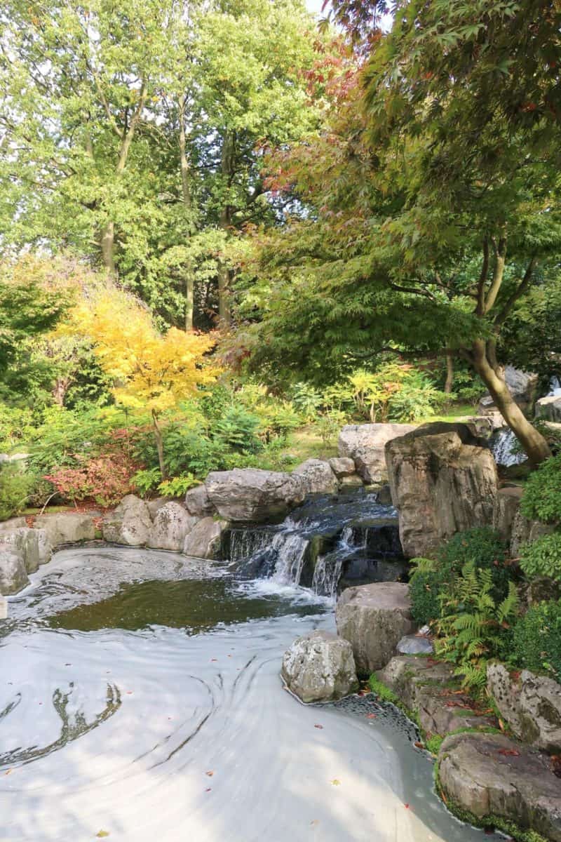 things to do in Kensington, Kyoto Gardens
