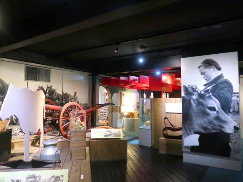 The Wandering Quinn Travel Blog things to do in jersey when it rains museum