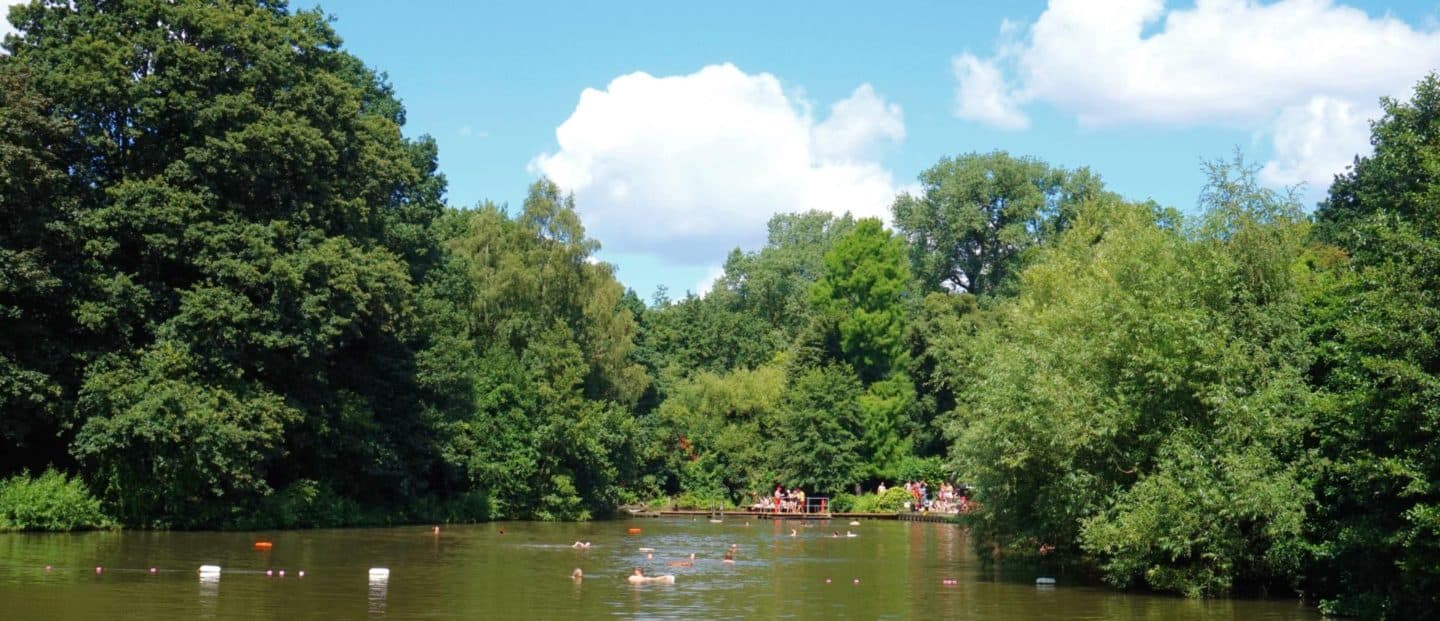 Hampstead Heath Swimming Ponds