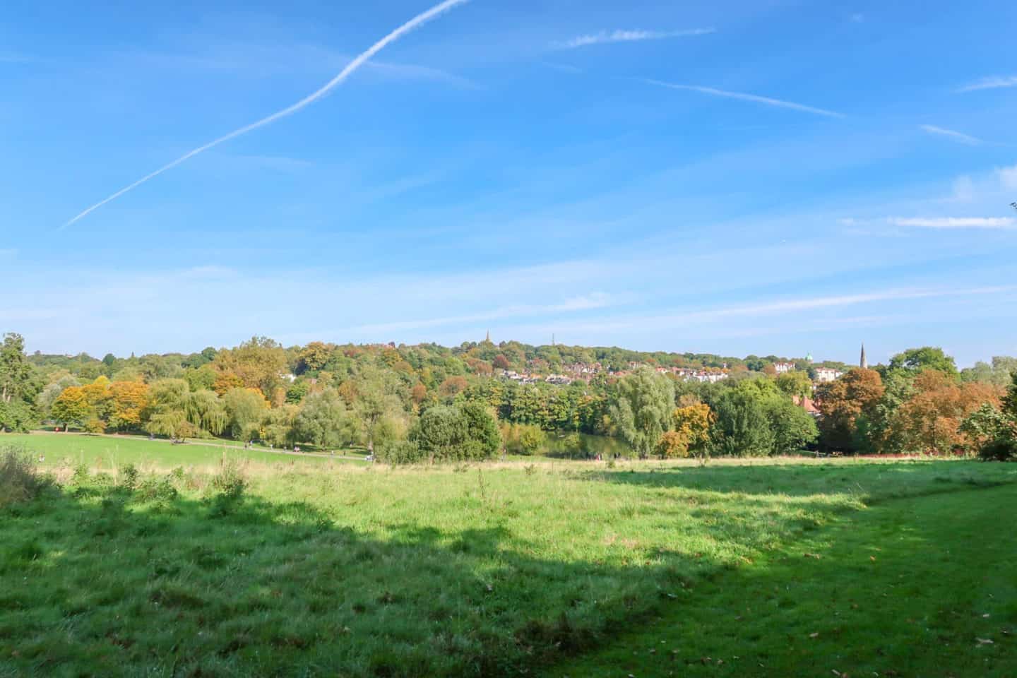 Green fields and trees in Hampstead Heath Park | what to do on Hampstead Heath