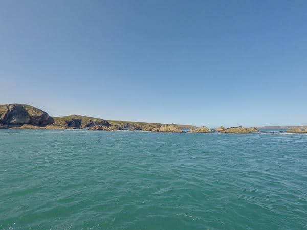 Things to do in Broad Haven Wales Ramsey Island