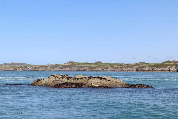 Things to do in Broad Haven Wales Ramsey Island