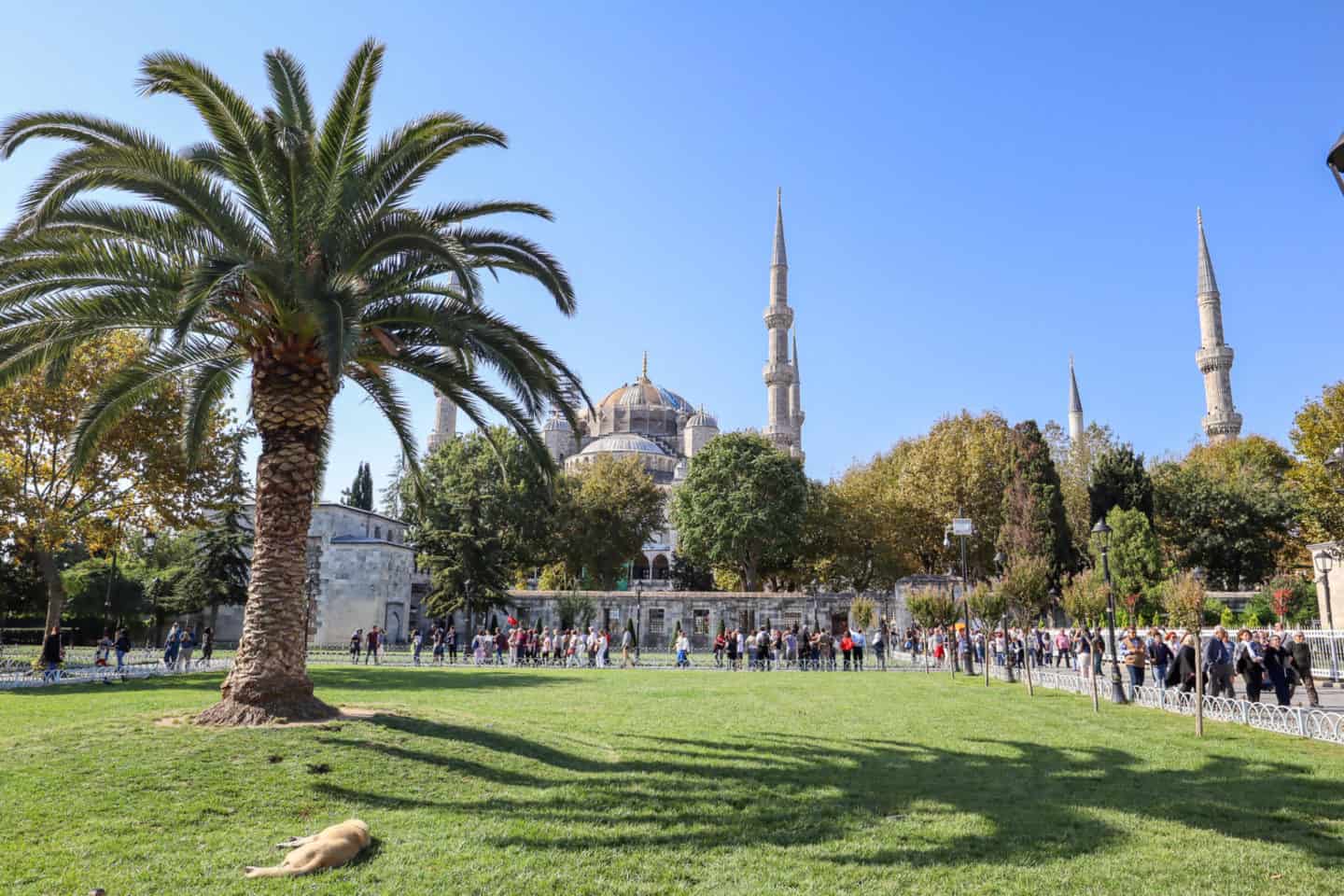 The Wandering Quinn Travel Blog Istanbul to Cappadocia, Blue Mosque