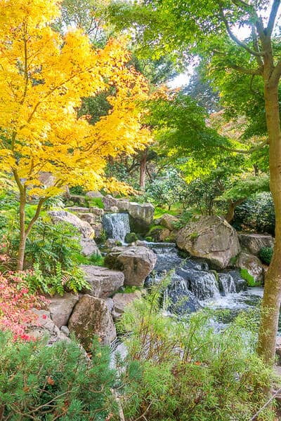 Autumn Walks in London, Kyoto Gardens Holland Park in Autumn