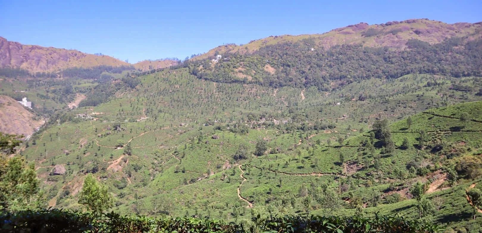 Hiking in Munnar