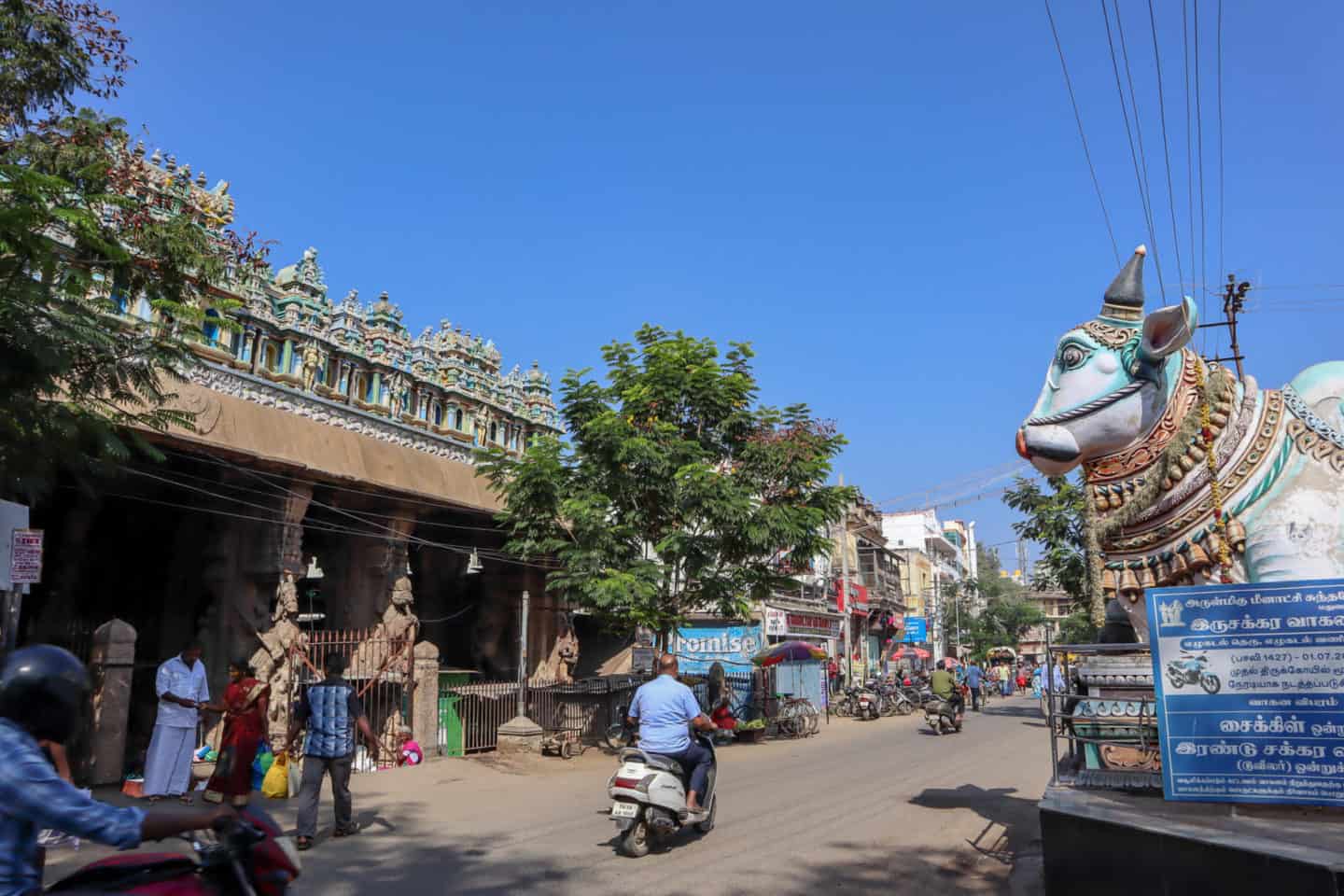 Madurai Streets Nandi