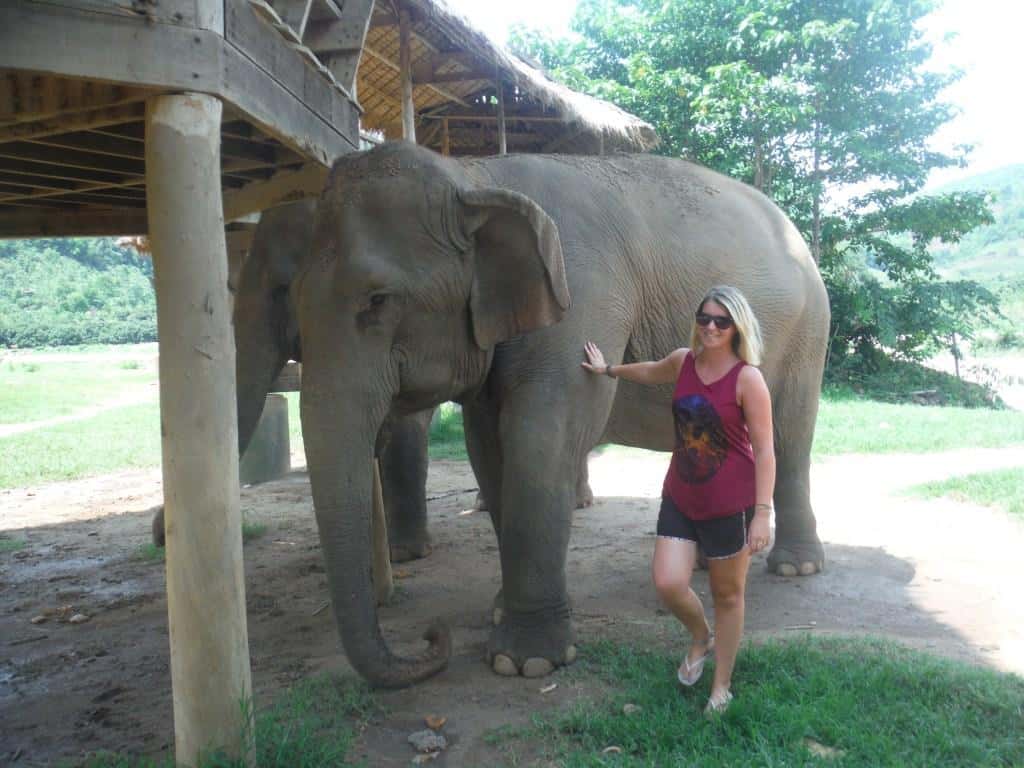 best things to do in Chiang Mai, elephant nature park
