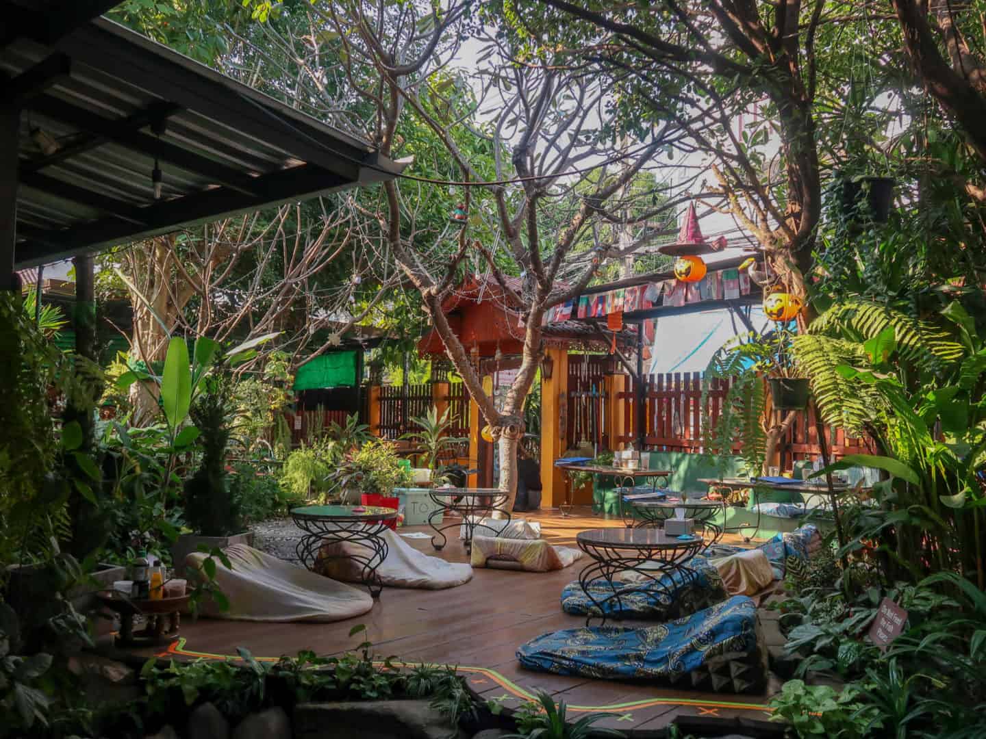 best things to do in Chiang Mai, healthy cafes