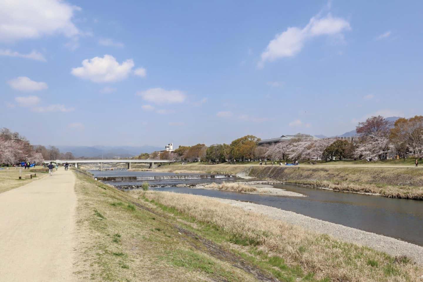 Kyoto 1 Day Itinerary, Kamo River Kyoto