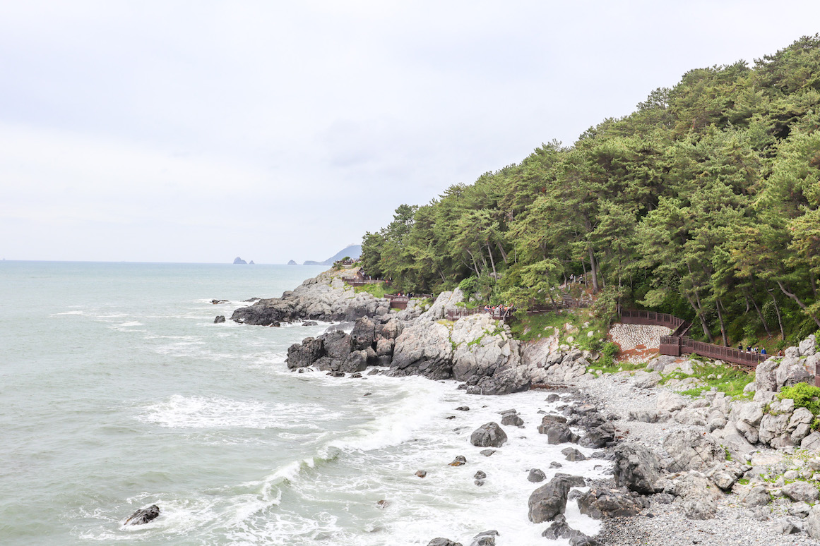 The Wandering Quinn Travel Blog Things to do in Busan, Dongbaek Park 