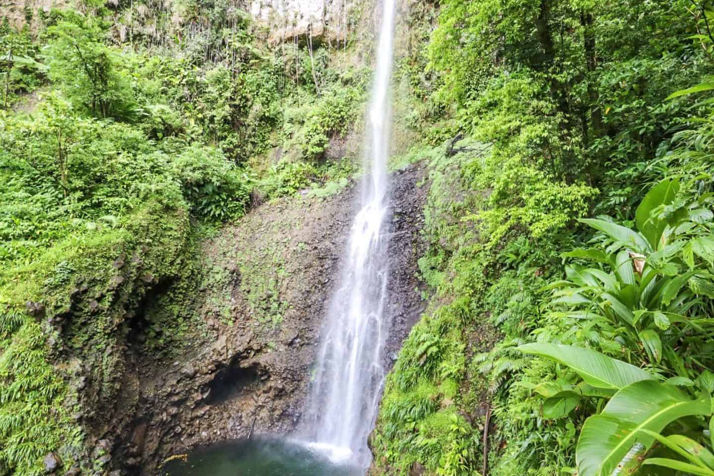 The Wandering Quinn Travel Blog dominica travel guide, middleham waterfall in Dominica in middle of rainforest