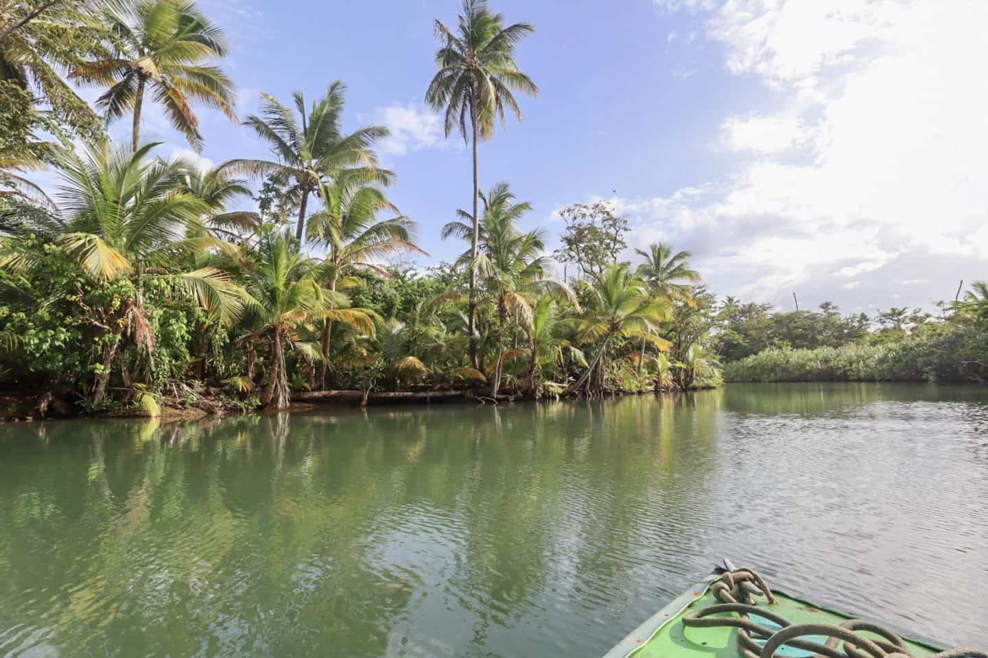 dominica day tours, indian river boat tour with palm trees dominica 