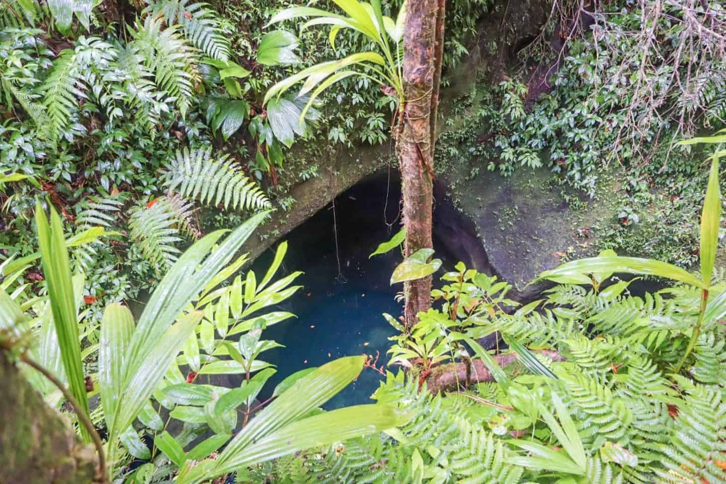 The Wandering Quinn Travel Blog dominica travel guide, titou gorge pirates of the caribbean location dominica