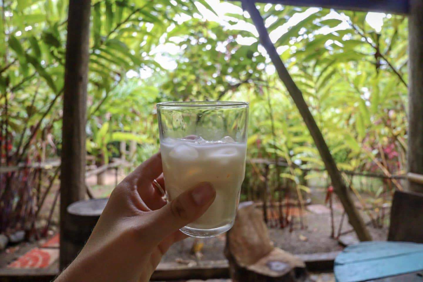 dominica day tours, coconut rum at bush bar in dominica