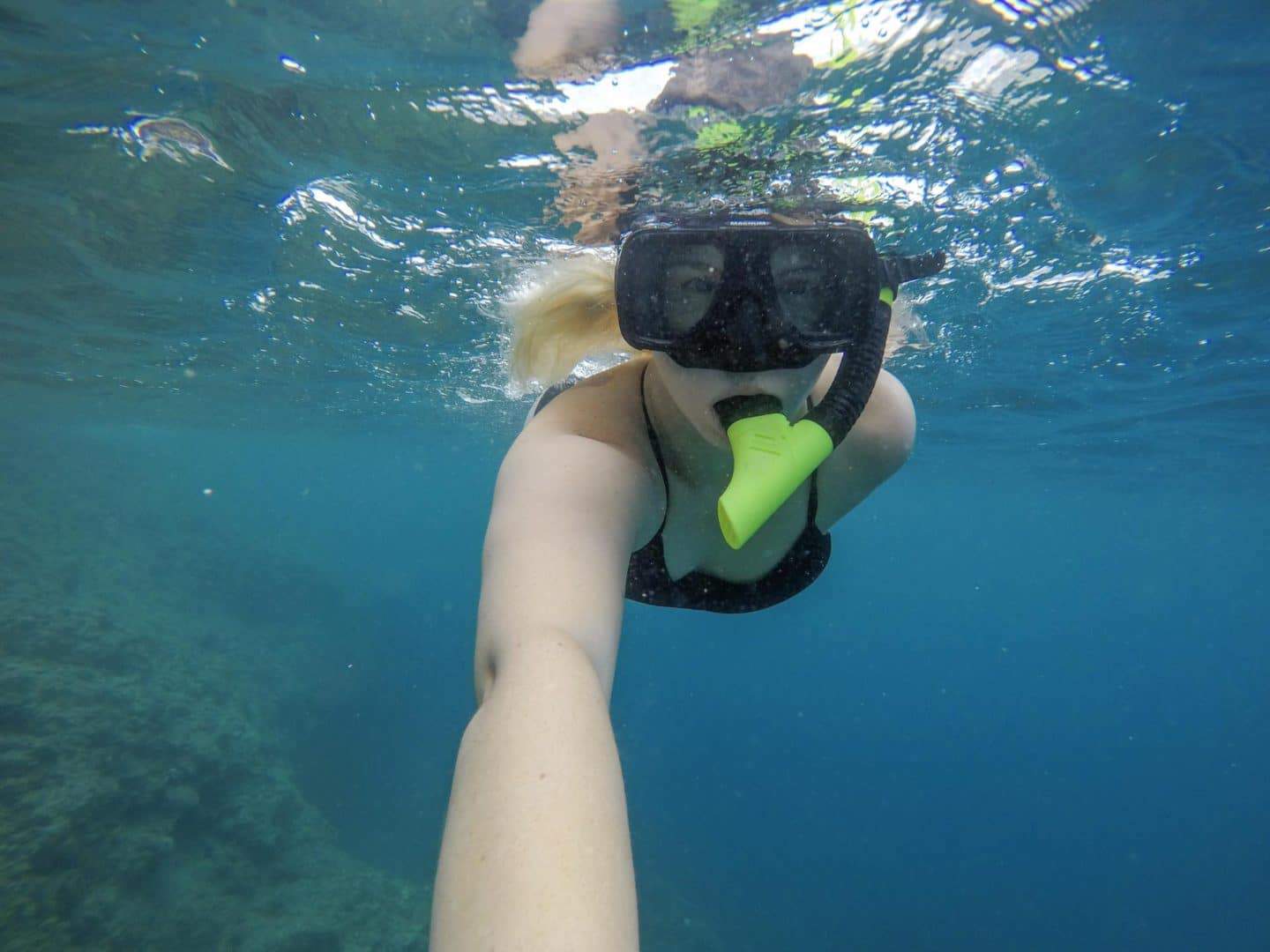 dominica day tours, ellie quinn snorkelling in Dominica