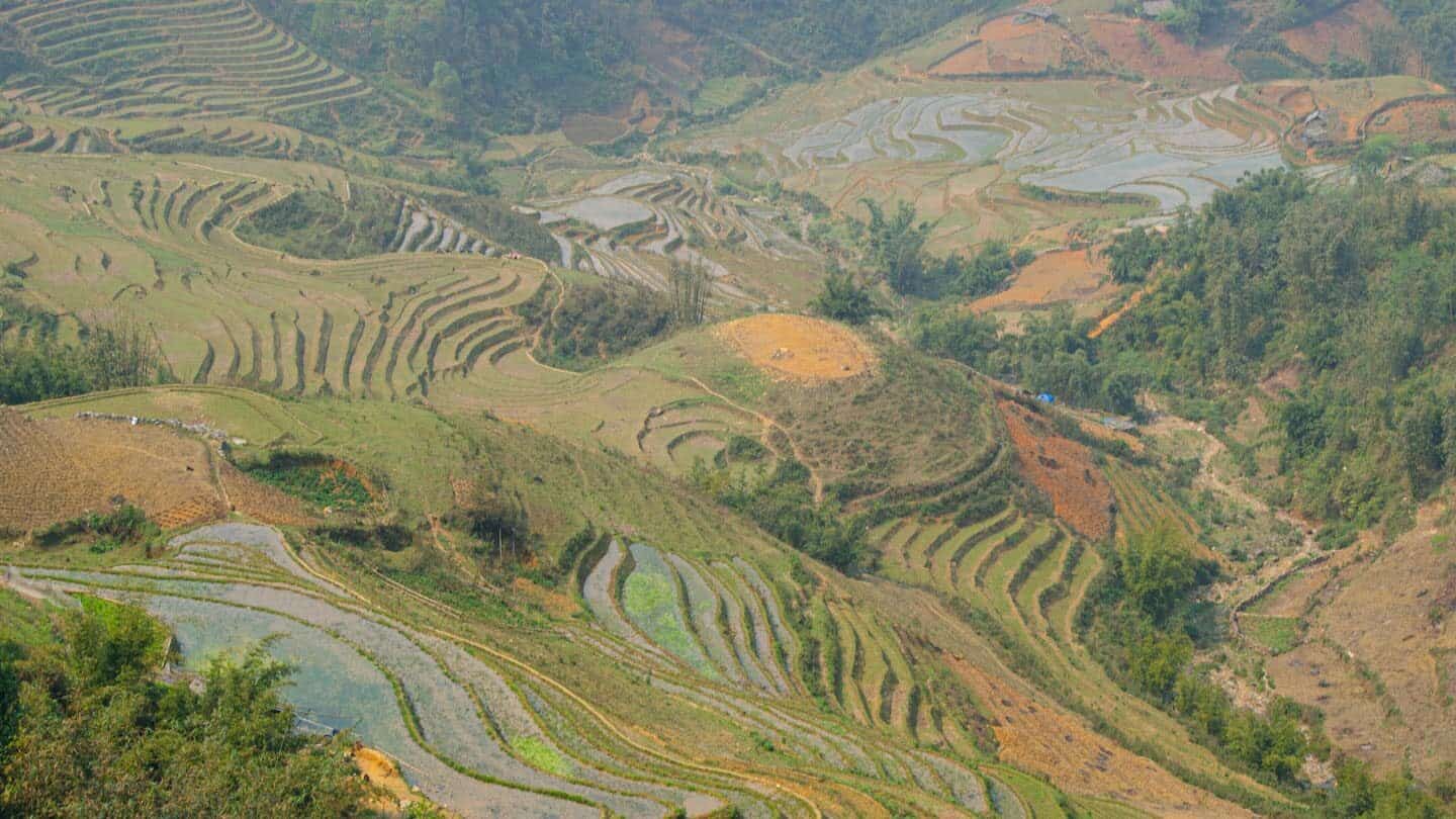 Green Sapa Rice Paddies weather | best places to travel in Asia in July and August