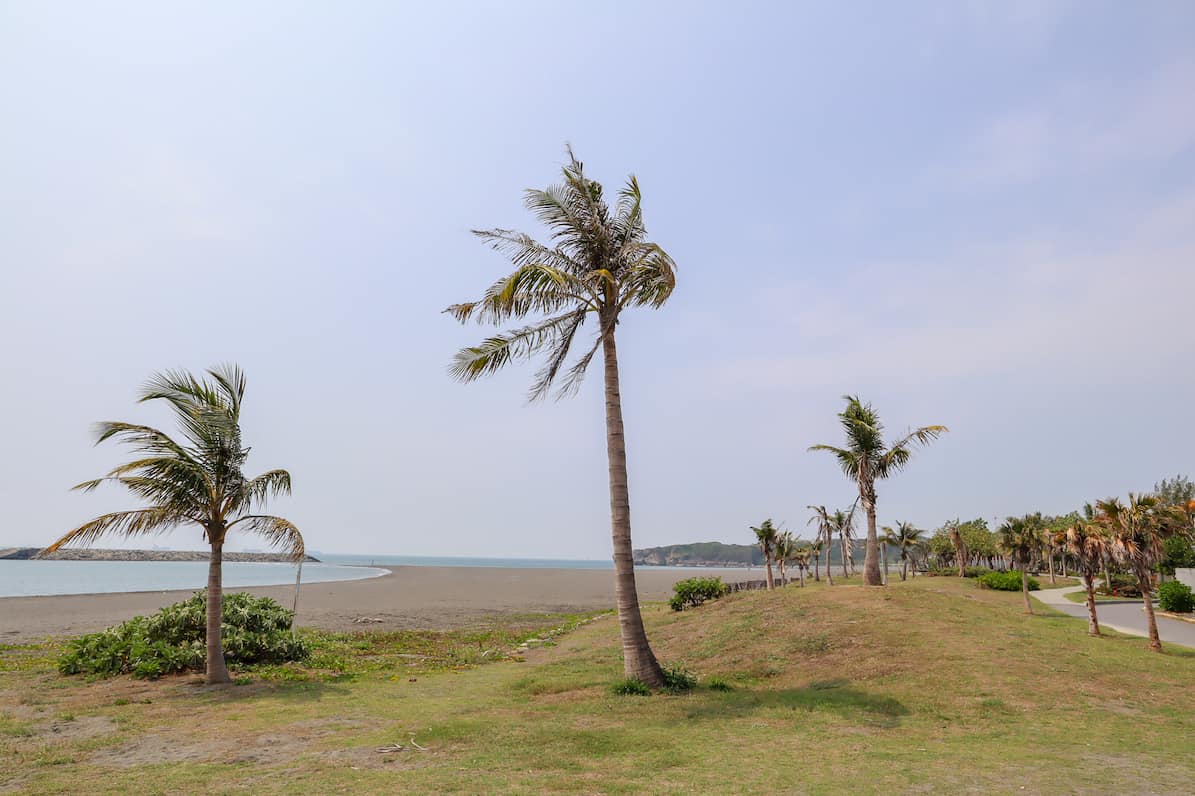 Kaohsiung to Cijin Island, Cijin Island Black Beach and Palm Trees