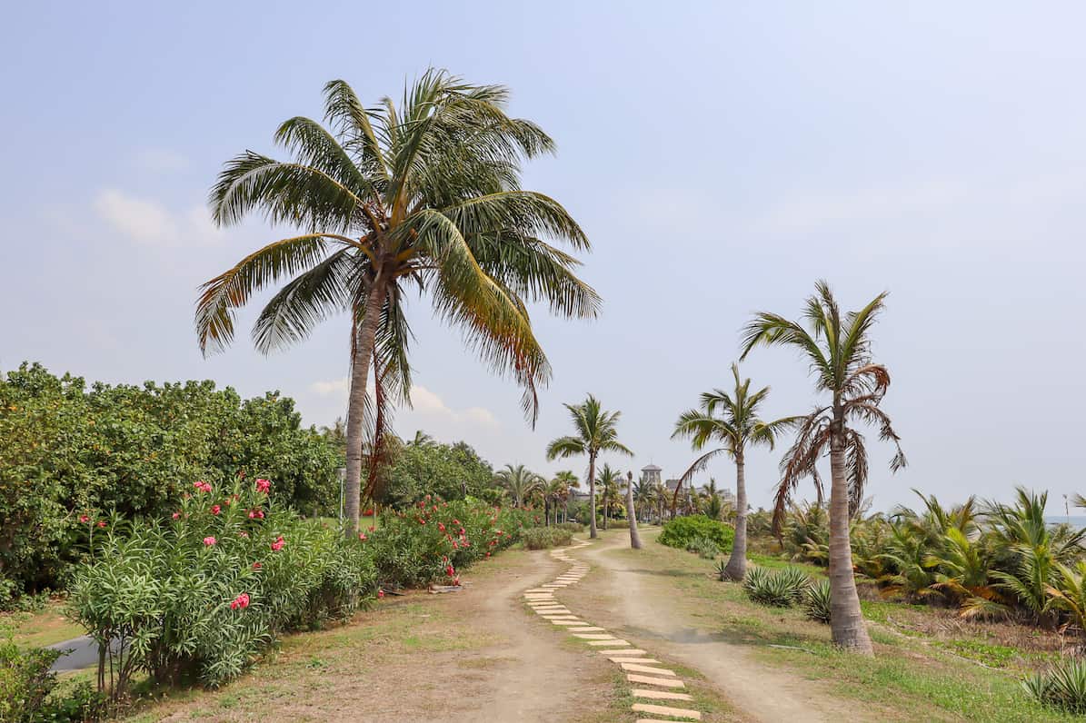 Kaohsiung to Cijin Island, Cijin Island sandy path with palm trees by beach