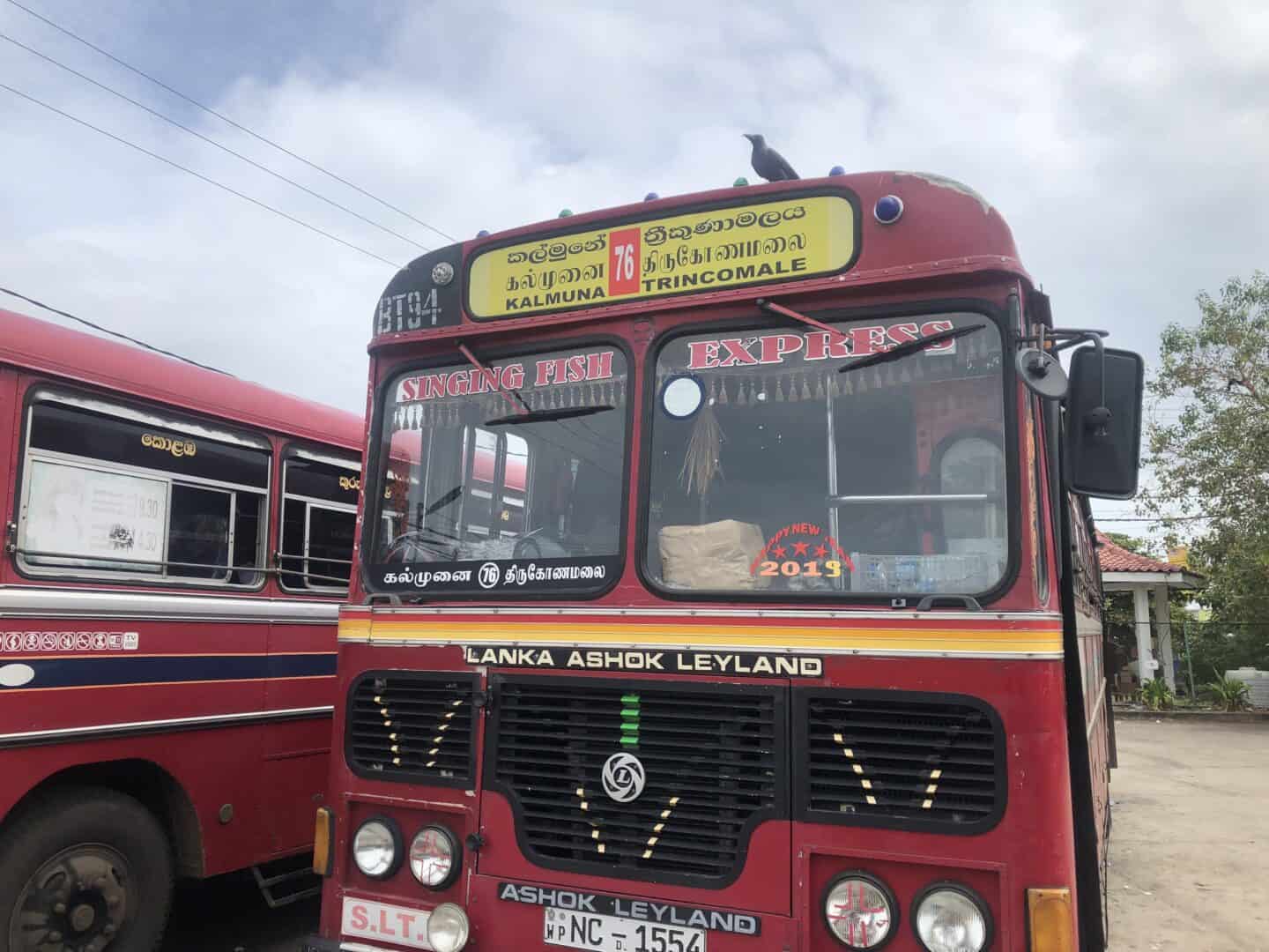 Cost of Travel in Sri Lanka, red local bus in Sri Lanka