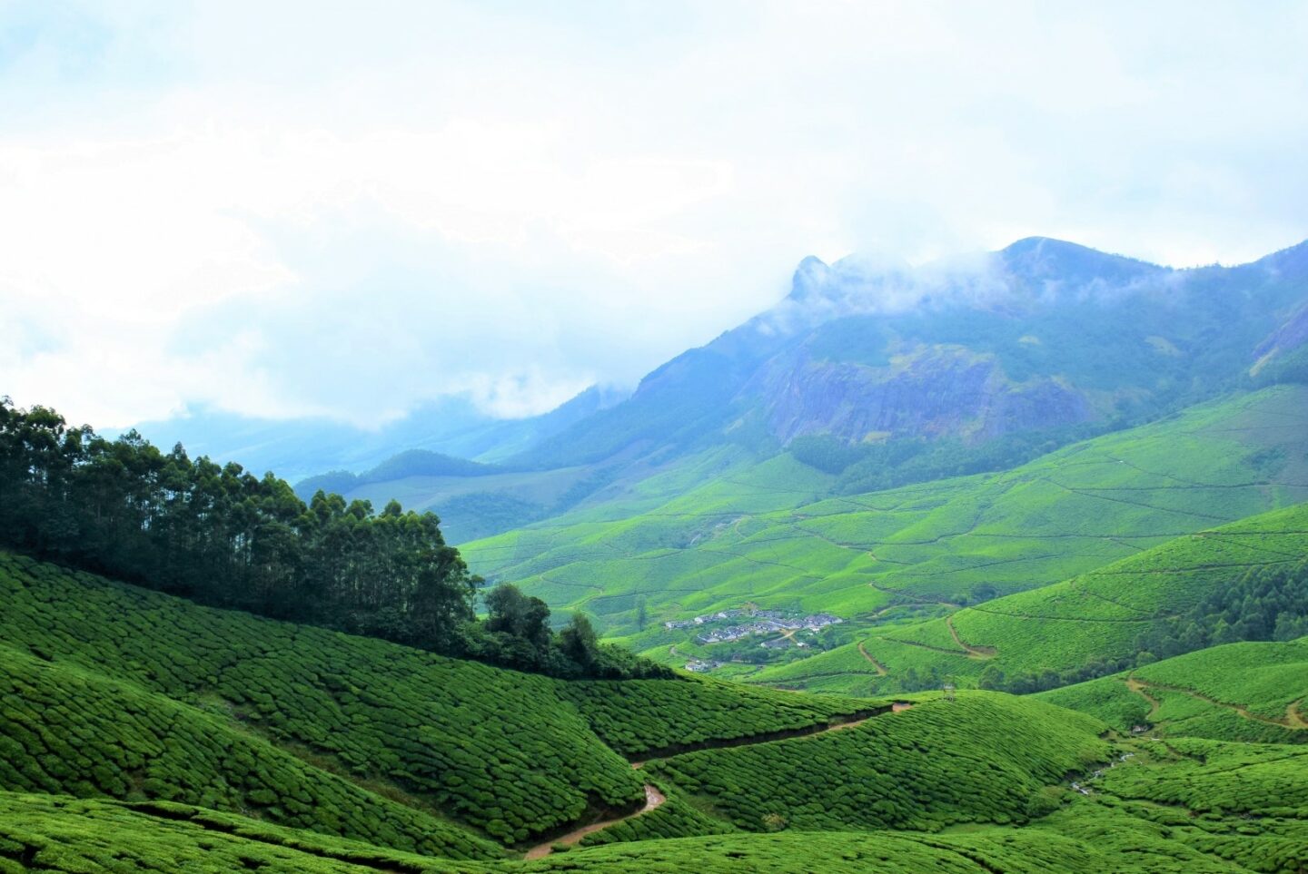 The Wandering Quinn Travel Blog kerala tea plantations | best places to travel in Asia December and January