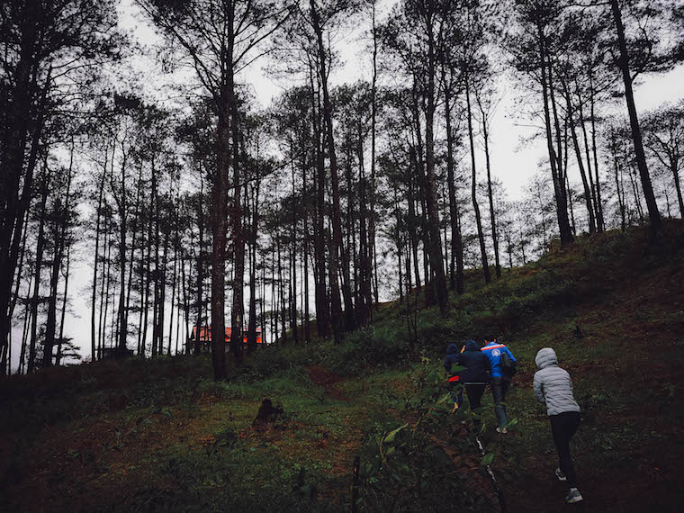 The Wandering Quinn Travel Blog Sagada trees hike | best places to travel in Asia December and January