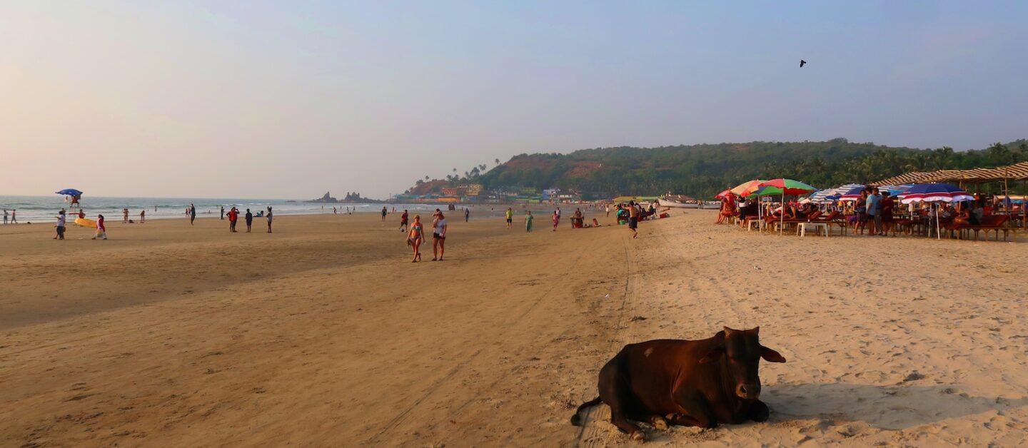 The Wandering Quinn Travel Blog beaches in Goa for foreigners