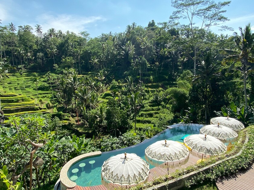 Bali Lombok itinerary, Tis Cafe Ubud Pool and Rice Terraces