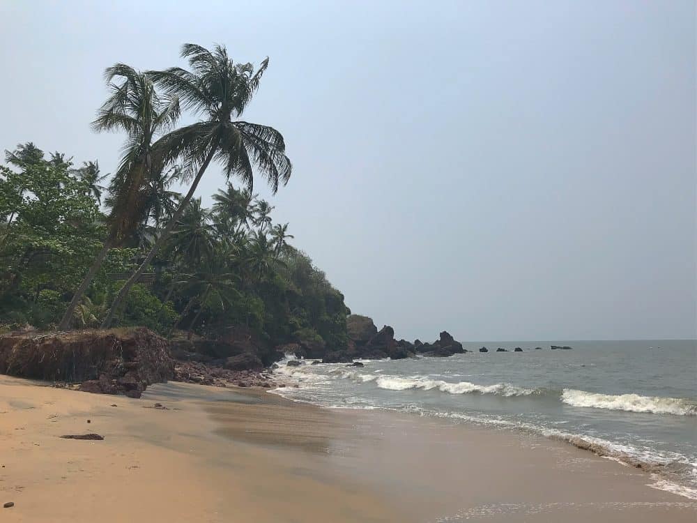 The Wandering Quinn Travel Blog Morjim Beach | best beaches in Goa for foreigners