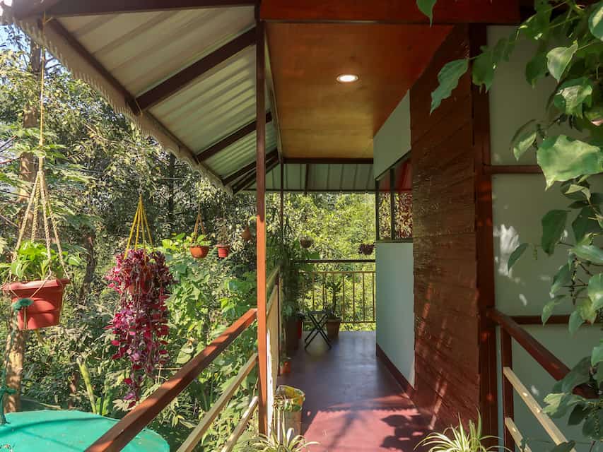 The Wayside Cottage Munnar