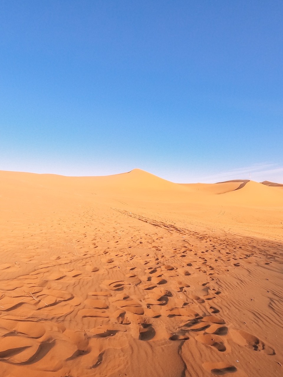 The Wandering Quinn Travel Blog things to do in Riyadh, red sand dunes tour Riyadh