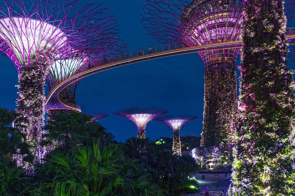 One Day in Singapore, Gardens by the bay at night
