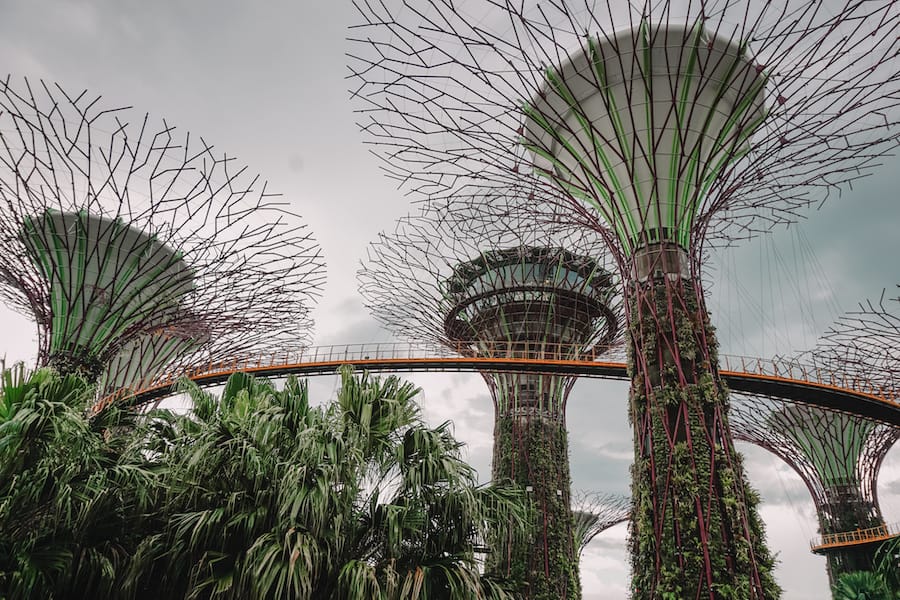 One Day in Singapore, Gardens by the bay