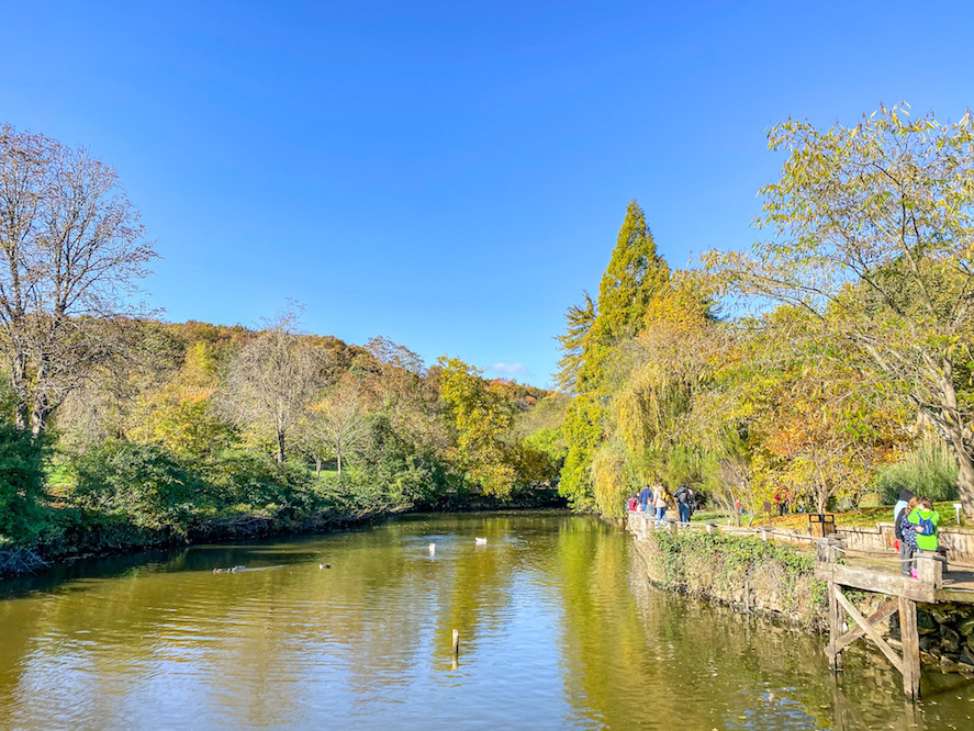 Ataturk Arboretumu park and lake in autumn sunshine, Istanbul Hidden Gems
