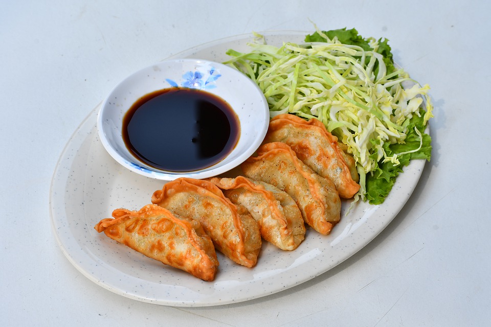 Japanese Cooking Classes Online gyoza