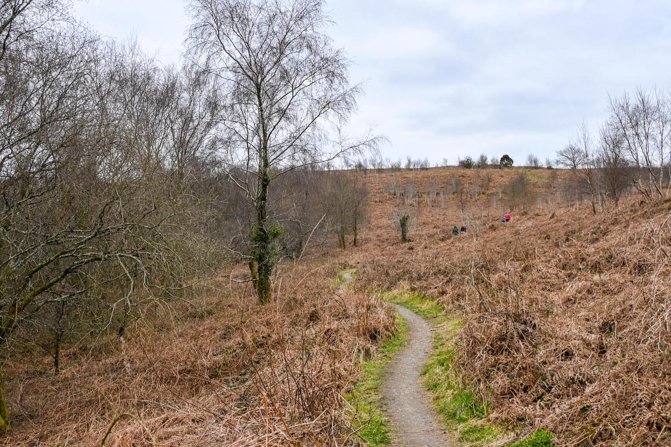 Caerphilly Mountain footpath