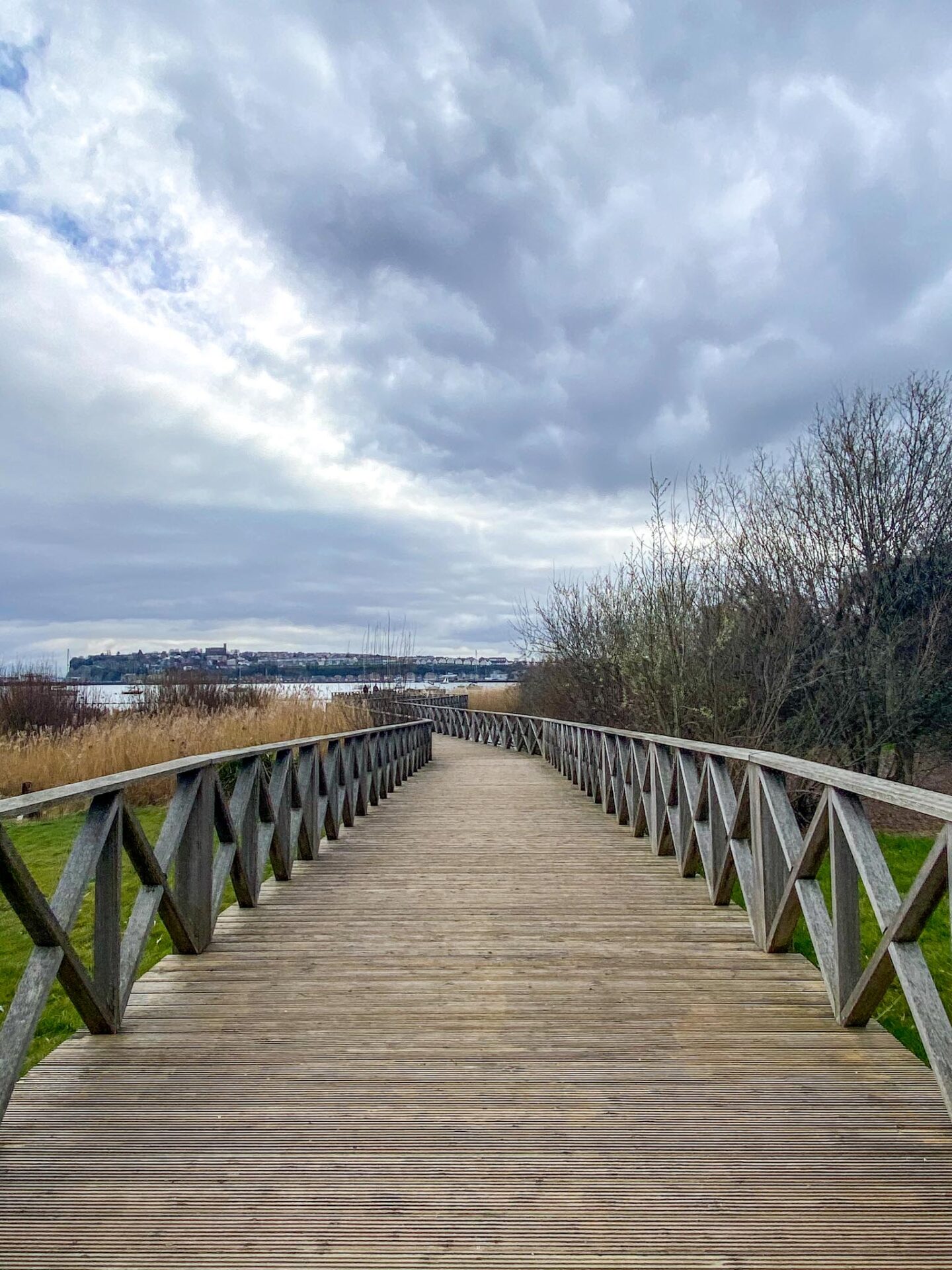 Cardiff Bay Wetlands Reserve Boardwalk