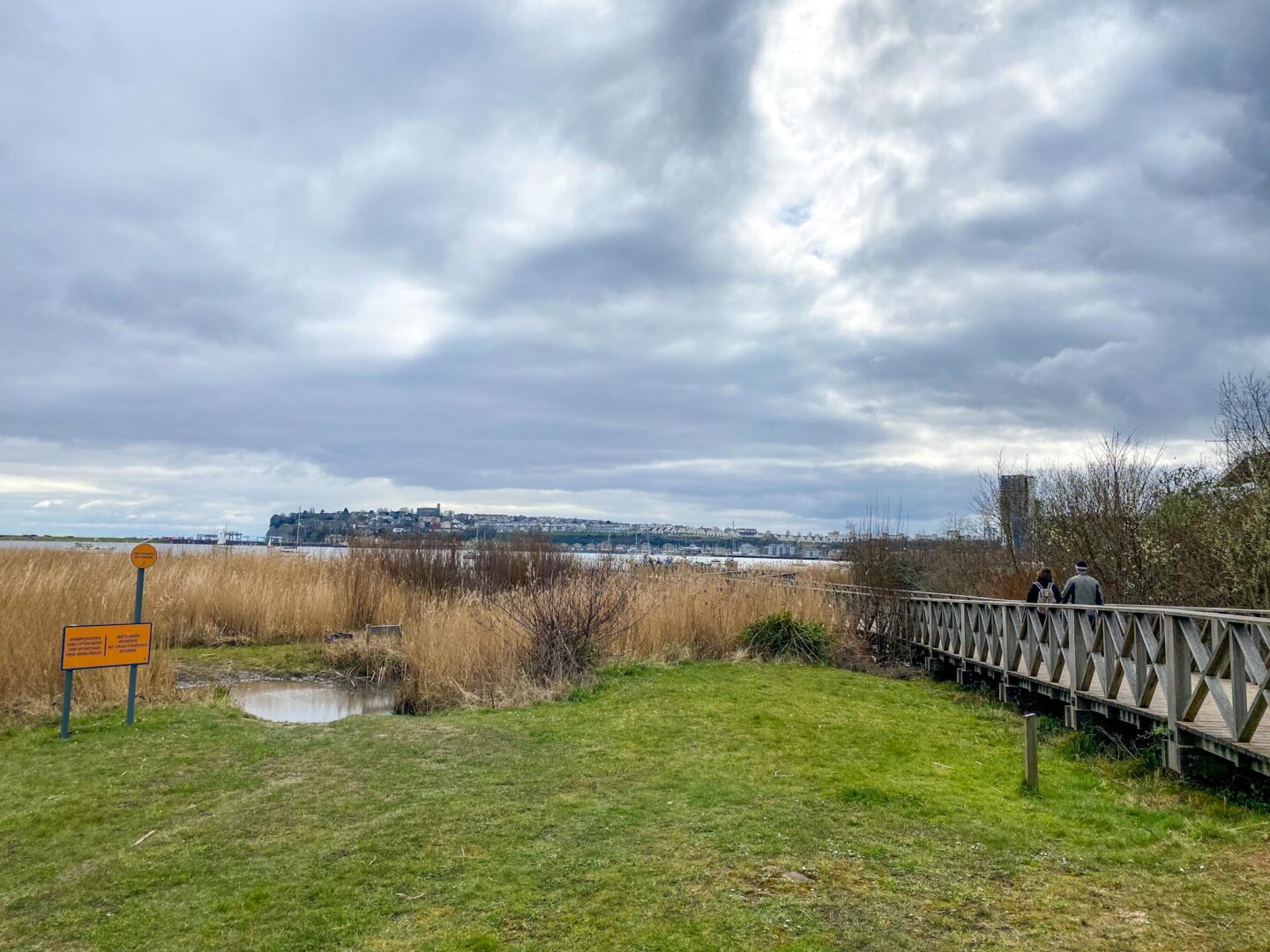 One day in Cardiff, Cardiff Bay Wetlands Reserve Boardwalk view