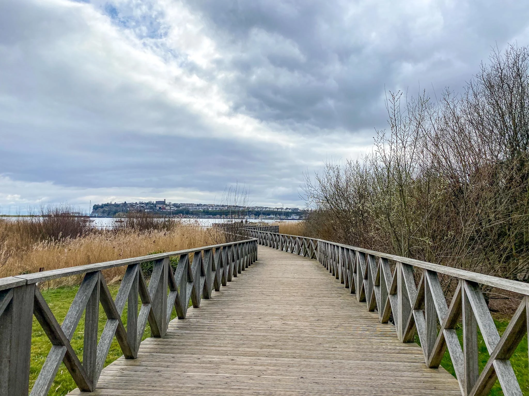 Cardiff Bay Wetlands Reserve