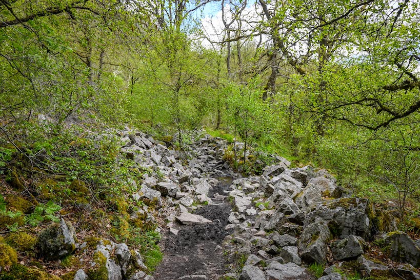 Brecon Beacons Waterfalls Walk hard footpath